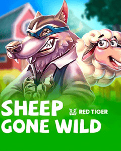 Sheep Gone Wild