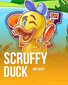 Scruffy Duck