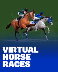 Virtual Horse Races