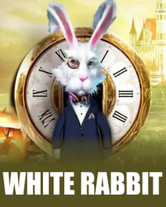 White Rabbit
