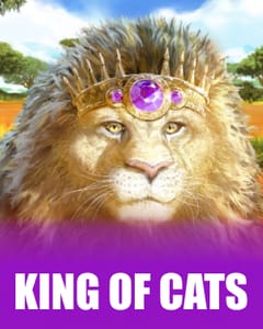 King of Cats