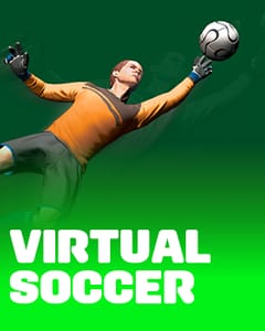 Virtual Soccer