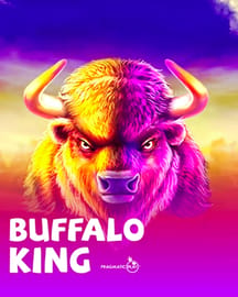 Buffalo King