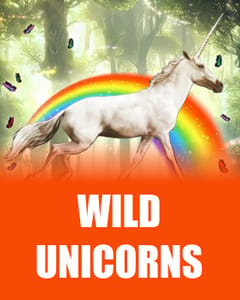 Wild Unicorns