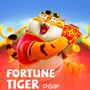 Fortune Tiger