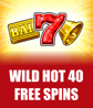 Wild Hot 40 Free Spins