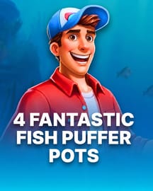 4 Fantastic Fish Puffer Pots