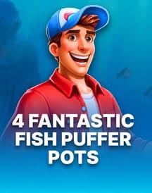 4 Fantastic Fish Puffer Pots