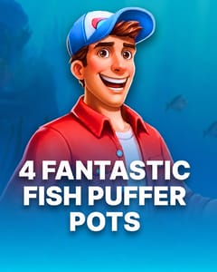 4 Fantastic Fish Puffer Pots