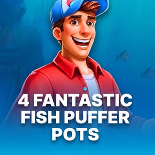 4 Fantastic Fish Puffer Pots