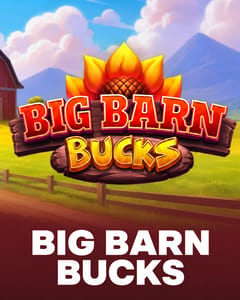Big Barn Bucks