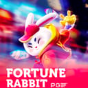 Fortune Rabbit
