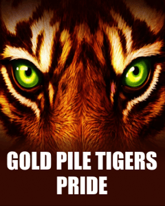 Gold Pile: Tigers Pride