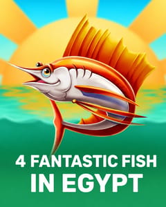 4 Fantastic Fish in Egypt